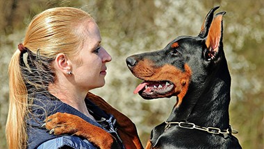 Zdjęcie zawodu Доглядачка домашніх тварин